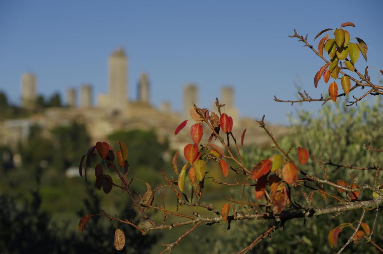 Il Borgo Antico Apartamento San Gimignano Quarto foto